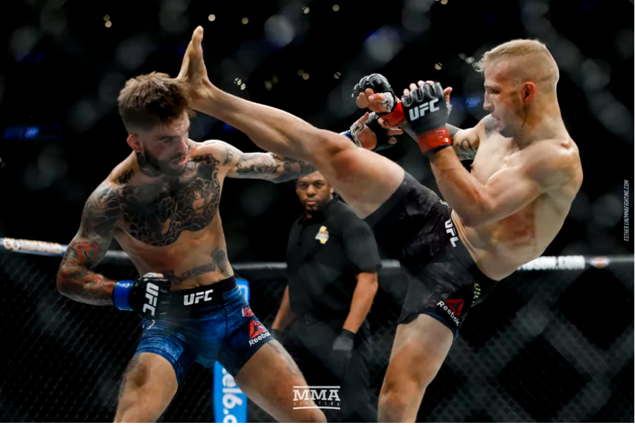 VIDEO. Rezultate și rezumate UFC 227: TJ Dillashaw vs Cody Garbrandt 2 | Sursa foto: Esther Lin, MMA Fighting